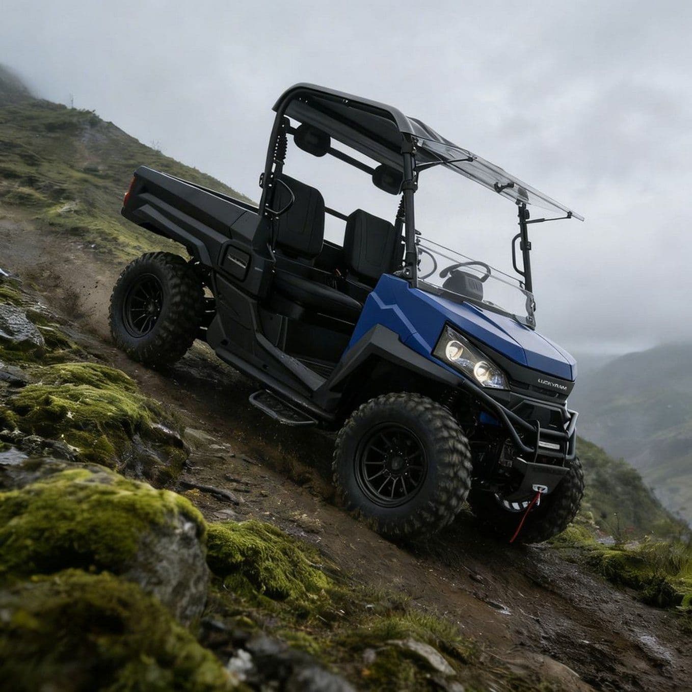 10KW vahelduvvoolumootor 4WD UTV 73,6V 150Ah 670kg Laadimine 400mm Wading