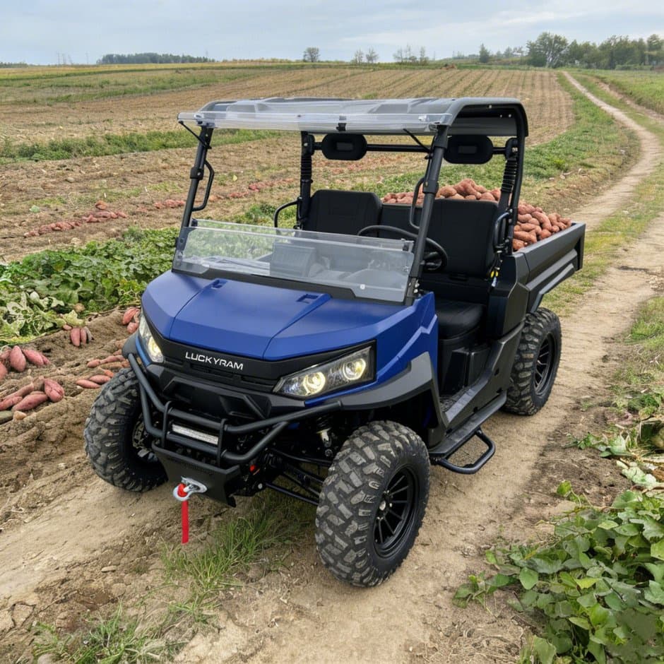 73,6 V 4WD UTV 10 kw vahelduvvoolu mootor EPS Rool 150ah aku