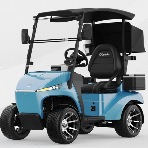 AI pärast elektrilise golfikäru järgimist